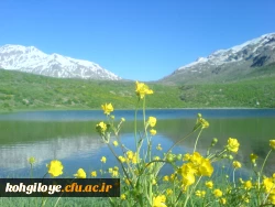 دریاچه کوه گل