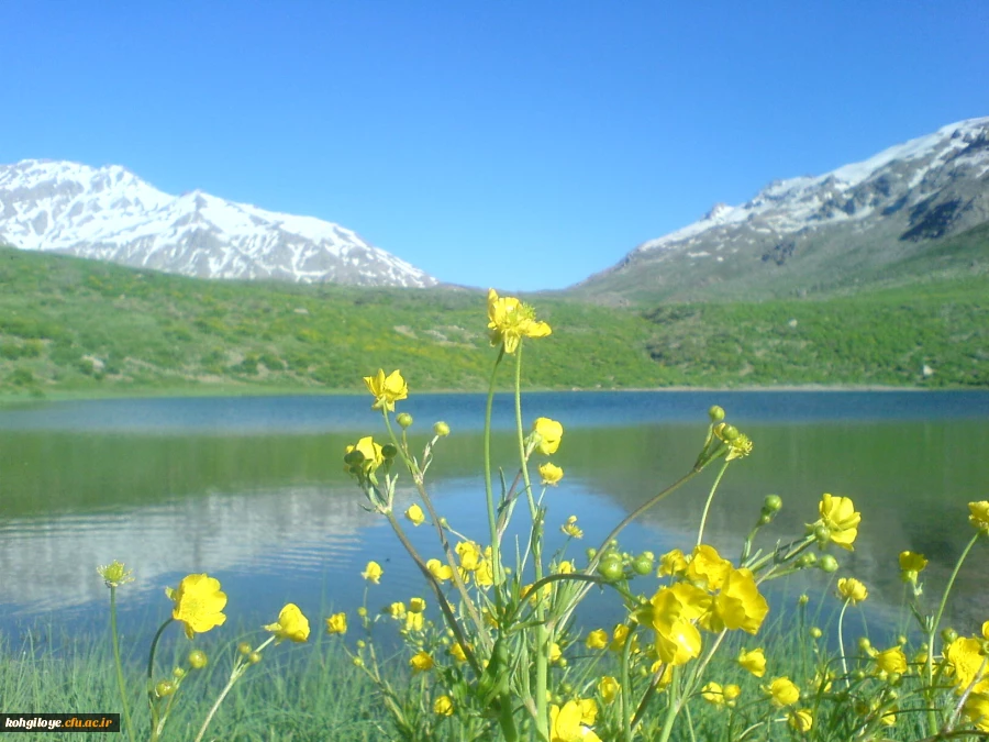دریاچه کوه گل