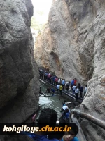 گزارش تصویری از فوق برنامه های جشنواره