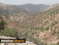 در شهر زیبا و توریستی سی سخت برگزار شد


کوهنوردی کارکنان دانشگاه فرهنگیان استان در کوه دنا 3