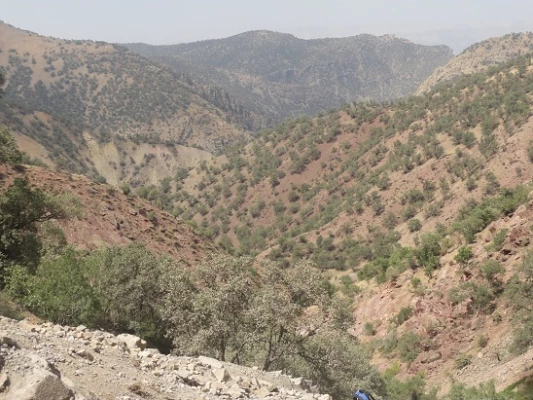 در شهر زیبا و توریستی سی سخت برگزار شد


کوهنوردی کارکنان دانشگاه فرهنگیان استان در کوه دنا 3