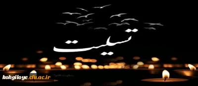 به مناسبت سقوط هواپیمای مسافربری ایران اوکراین و درگذشت جمعی از هموطنانمان

هو الباقی
کل من علیها فان و یبقی وجه ربک ذو الجلال و الاکرام