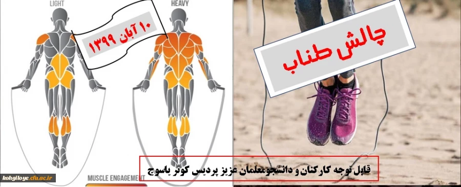 چالش طناب زنی