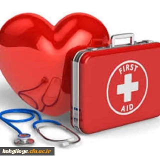 به اطلاع کارکنان محترم دانشگاه فرهنگیان می رساند

دوره آموزش همگانی کمک های اولیه امداد و نجات ( مرحله اول- تربیت مدرسی)