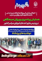 همایش پیاده روی و ورزش صبحگاهی در پردیس ها و واحدهای آموزشی سراسر کشور 2