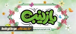 ولادت با سعادت پیام بزرگ کربلا حضرت زینب کبری(س) و روز پرستار مبارک باد. 2
