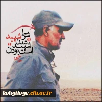 13 دی ما سالروز شهادت سردار بزرگ مقاومت سپهبد شهید سردار سلیمانی و یاران با وفایش به دست شقی ترین موجود روزگارآ آمریتکای جنایتکار تسلیت باد 3