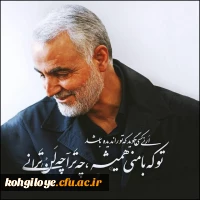 13 دی ما سالروز شهادت سردار بزرگ مقاومت سپهبد شهید سردار سلیمانی و یاران با وفایش به دست شقی ترین موجود روزگارآ آمریتکای جنایتکار تسلیت باد 8