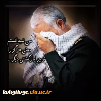 13 دی ما سالروز شهادت سردار بزرگ مقاومت سپهبد شهید سردار سلیمانی و یاران با وفایش به دست شقی ترین موجود روزگارآ آمریتکای جنایتکار تسلیت باد 13