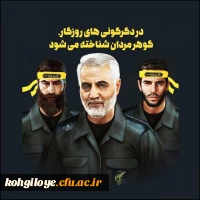 13 دی ما سالروز شهادت سردار بزرگ مقاومت سپهبد شهید سردار سلیمانی و یاران با وفایش به دست شقی ترین موجود روزگارآ آمریتکای جنایتکار تسلیت باد 18