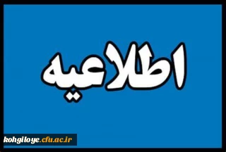 تولید فیلم های آموزشی در رشته های نقاشی، حفظ قرآن، خوشنویسی، فتوشاپ، ایندیزاین، ایلاستریتور و فیلم سازی 