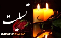 انالله و انا الیه راجعون
همکار محترم سرکارخانم چرامی، مصیبت درگذشت خواهر گرامی تان را به شما و خانواده محترم تسلیت عرض می نماییم.
 2