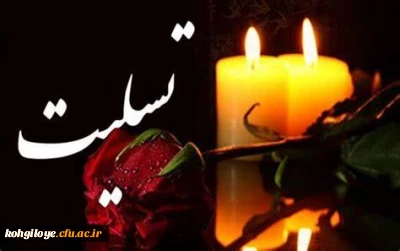 انالله و انا الیه راجعون
همکار محترم سرکارخانم چرامی، مصیبت درگذشت خواهر گرامی تان را به شما و خانواده محترم تسلیت عرض می نماییم.
