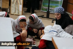 مرحله ی استانی جشنواره تخصصی تدریس برتر برگزار شد. 6