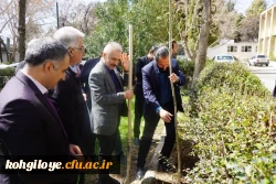 کاشت نهال 2
