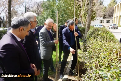 کاشت نهال