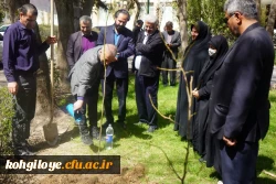 کاشت نهال 3