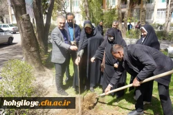 کاشت نهال 4