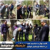 کاشت نهال 5