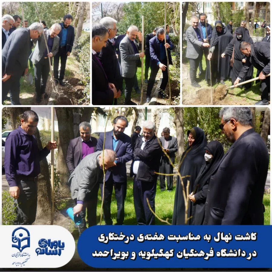 کاشت نهال 5