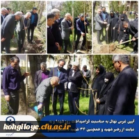 کاشت نهال 6
