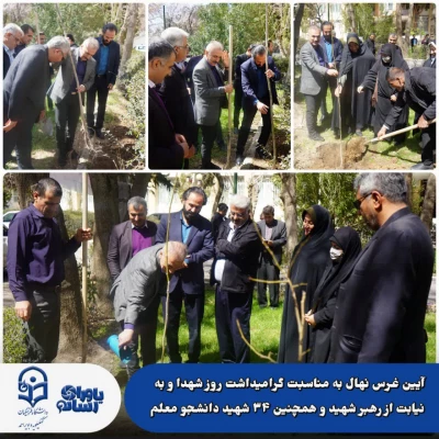 کاشت نهال 6