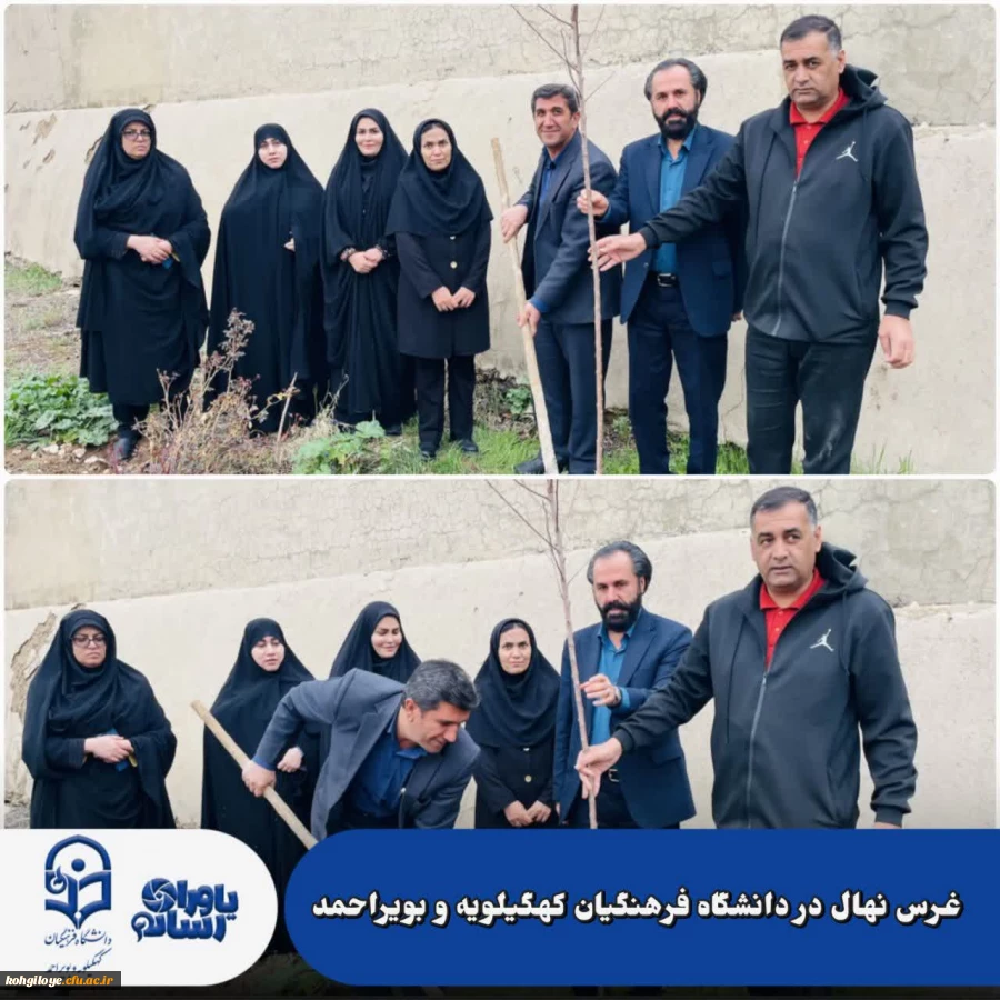 غرس نهال 4